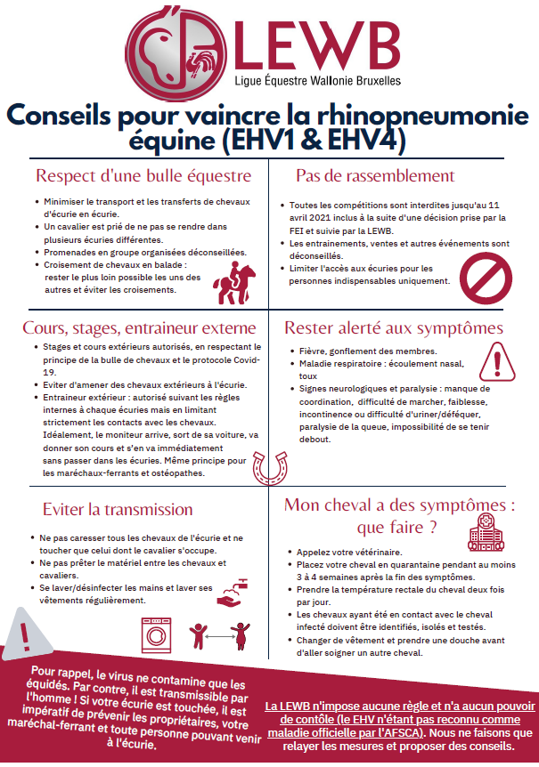 Conseils Rhino