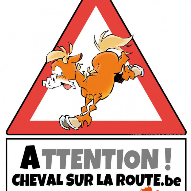 chevalsurlaroute